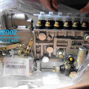 P10Z002 Fuel Pump for SDEC SC11CB C6121