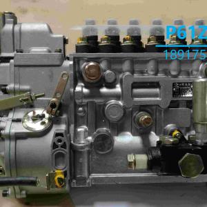 P61Z612 Fuel Pump for SDEC SC11CB C6121