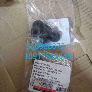 S00008872 Vavle Seal SDEC H