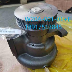 W20A-001-01, SDEC SC33W, Water Pump